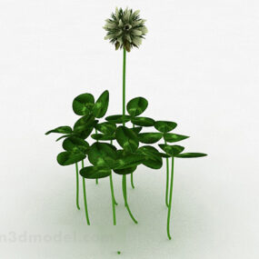 तिपतिया घास का पौधा 3डी मॉडल