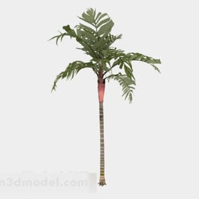 Кокосова пальма V2 3d модель