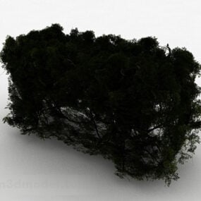 Tmavě zelená rodinná krajina rostlina 3D model