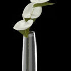 Dekoration Vase Pflanze