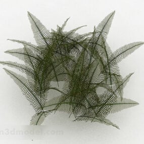 نموذج ثلاثي الأبعاد لنبات السرخس ذو الأوراق الجميلة