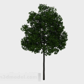 Garden High Tree 3d model