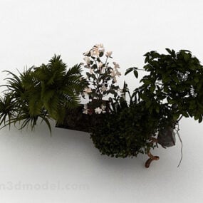 Ogród Ozdobna Roślina Kwiatowa Model 3D