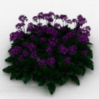 Garden Purple Flowers Ornamental