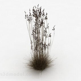 Brown Grass Plant 3d model