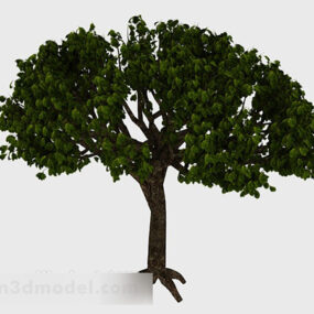 Model 3D zielonego drzewa wachlarzowego