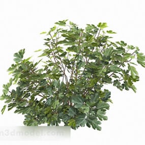 Modelo 3d de arbusto de hoja en forma de violín verde