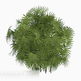 Green Garden Palm Tree 3d model