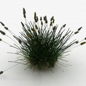 Green Grass Garden Plant 3d model