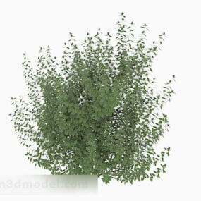 緑の葉の低い茂みの植物3Dモデル