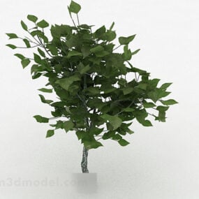 דגם תלת מימד של צמח נוי עלים ירוקים