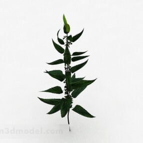 نموذج نبات القراص الأخضر ثلاثي الأبعاد