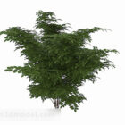 녹색 타원형 잎 관목 식물