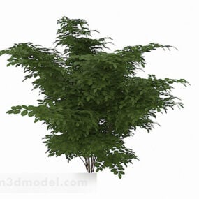 Zelený oválný keř rostlina 3D model