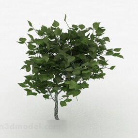 緑の楕円形の葉の観賞用植物3Dモデル