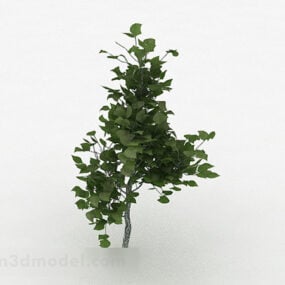 緑の楕円形の葉の観賞植物3Dモデル