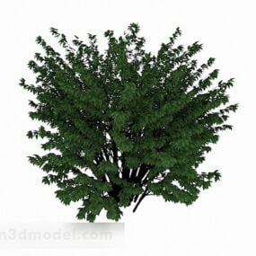 Groen parkbloem 3D-model