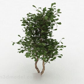 3д модель декоративного дерева с зелеными круглыми листьями
