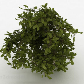 Vihreät pyöreät lehdet koristepuut 3d-malli