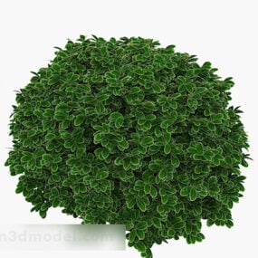 Green Round Edge Leaf Plant Hedge 3d-modell