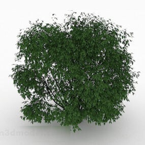 Green Small Leaf Tree 3d model