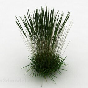 Modelo 3d de planta de palha verde