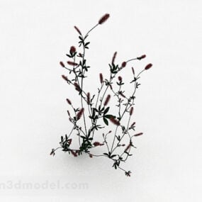 Model 3D rośliny kwiatowej skrzypu