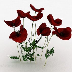 Εσωτερική διακόσμηση κόκκινο φυτό λουλουδιών τρισδιάστατο μοντέλο