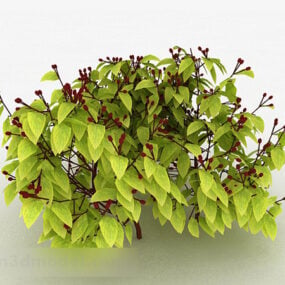 Modelo 3d de planta de folha verde clara