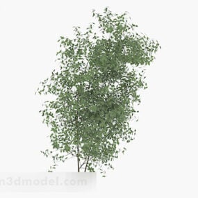 Low Green Branch 3d model