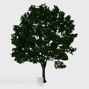 Lush Tree 3d model