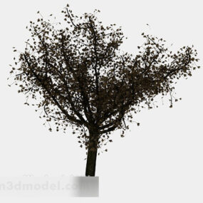 Maple Tree V3 3d model