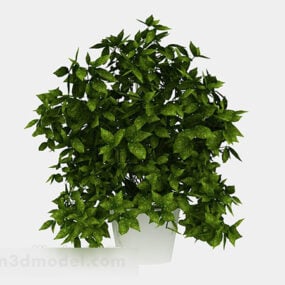 Modern Green Indoor Potted Plant 3d model