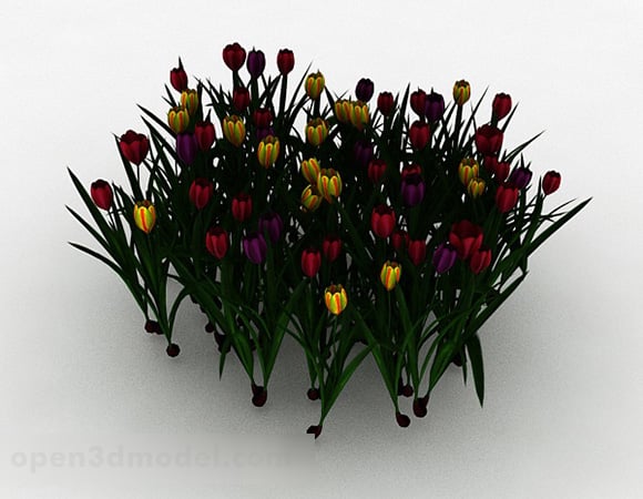 Pianta ornamentale fiore multicolore