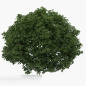 Needle Fine Leaf Bush 3d model