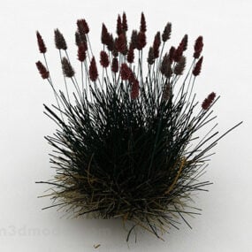 Needle Leaf Grass 3d model