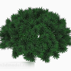Nåleformet grønn plante 3d-modell