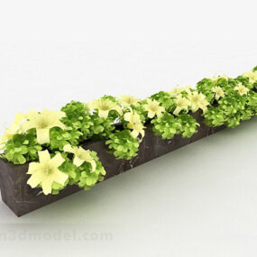 דגם תלת מימד של צמח נוי פרח אוף ווייט