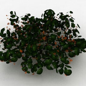Arbustos ornamentales de flor de naranja modelo 3d