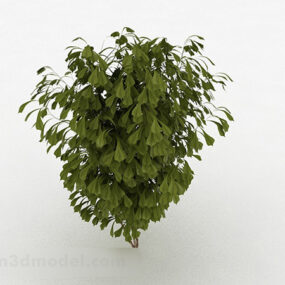 Ornamental Shrub Plant 3d model