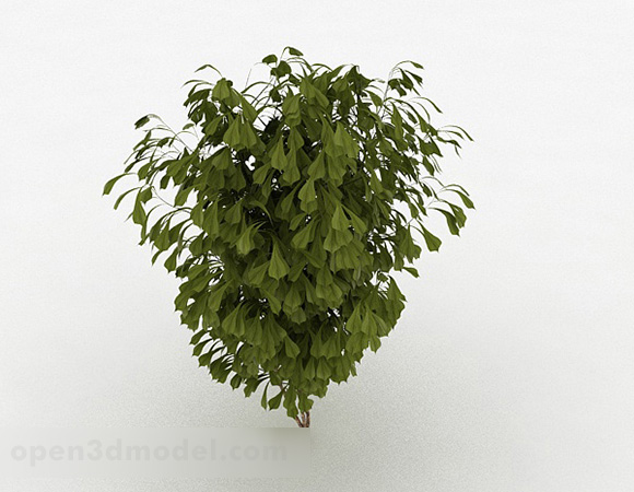 Ornamental busk plante