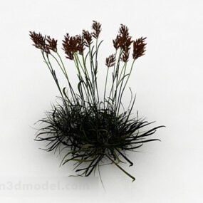 Outdoor Grass Plant 3d model