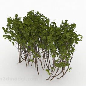 Outdoor Green Grass 3d model