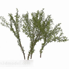 Outdoor Green Tree 3d model
