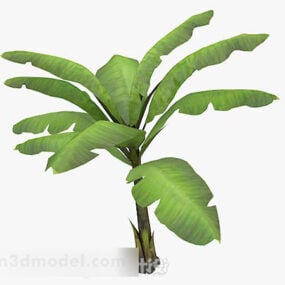 आउटडोर केले का पेड़ 3डी मॉडल