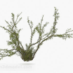 Planta de árbol joven al aire libre modelo 3d