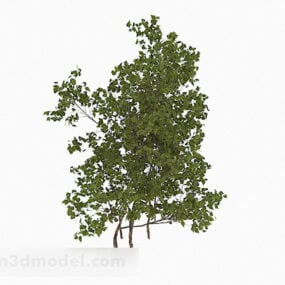 Buiten kleine boom tuinplant 3D-model