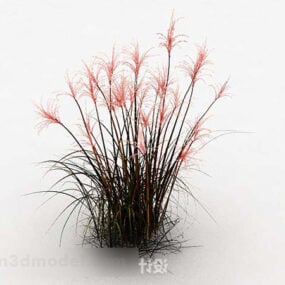 Buiten Wildflower Plant 3D-model