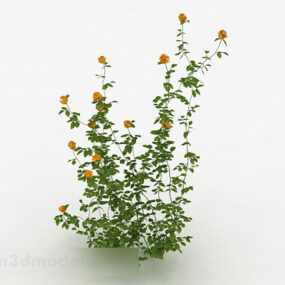 Venkovní žlutý květ rostlina 3D model