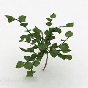 Oval Leaf Bush 3d model